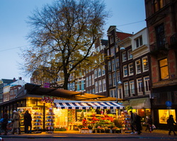 2012 11-Amsterdam Flower Market
